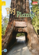 Big Plants + MP3 Big Plants + MP3